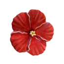 Ceramic Hibiscus Wall Flower Red