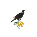 New Zealand Tui Small