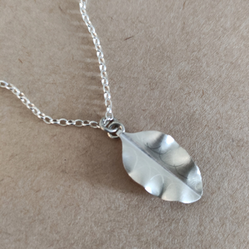 Silver Tarata Leaf on Chain Necklace