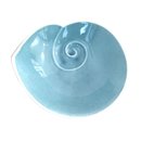 Nautilus Bowl Aqua Large