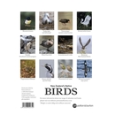 NZ Native Birds 2024 Calendar