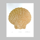 NZ Scallop Gold Linocut Print 405mm x 505mm