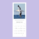 NZ Native Birds 2025 Calendar