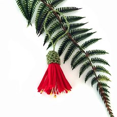 Pohutukawa Felt Decoration-lifestyle-The Vault