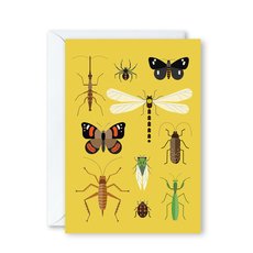 Bugs of Aotearoa Card-cards-The Vault