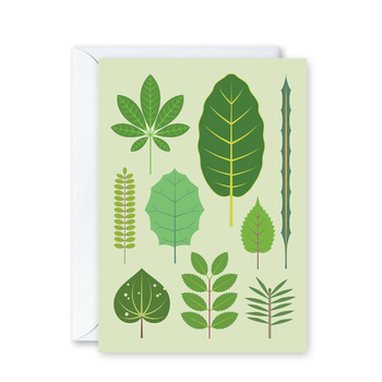 Trees of Aotearoa Card