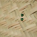 Kawakawa Gem Studs Gold Plate