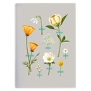 Wallflowers Notebook