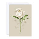 Peony Card