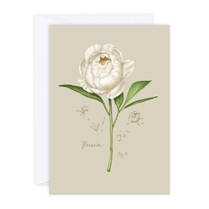 Peony Card-cards-The Vault