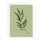 Olive Leaves Card