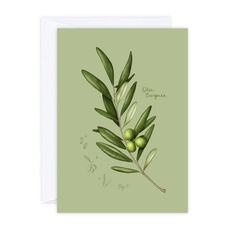 Olive Leaves Card-cards-The Vault