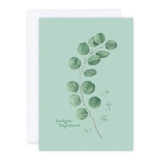 Eucalyptus Card-cards-The Vault