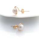 Gold Lulu Studs White Pearl