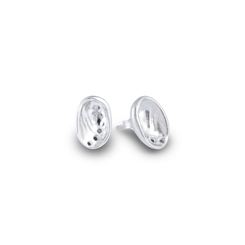 Baby Paua Studs Silver