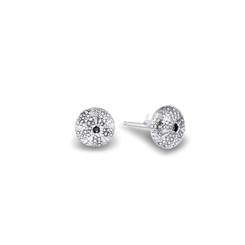 Kina Shell Studs Silver