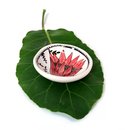 Small Magic Garden Bowl Red Flower