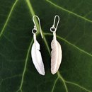 Short Seagull Feather Earrings Silver