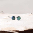 Paua Studs Medium