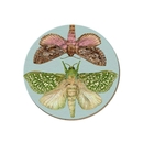 NZ Moths Coaster Single